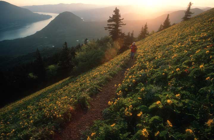 Dog Mt. Trail, Home, WA  There is No Finish Line  for Nike poster