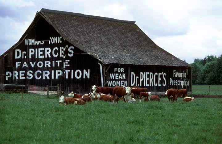 Dr. Pierce's, Winlock, WA