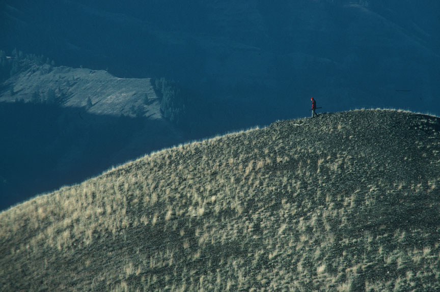 hunter in Blue Mountains, Oregon, photo