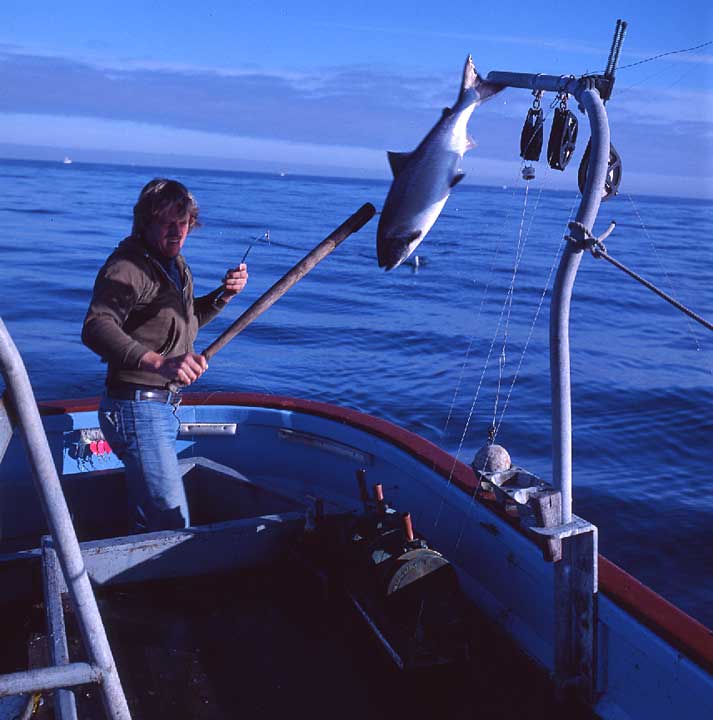 Terry Thompson lands another salmon