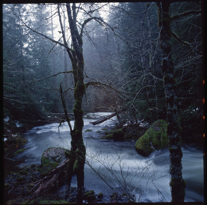 Muddy Fork Sandy River, Oregon