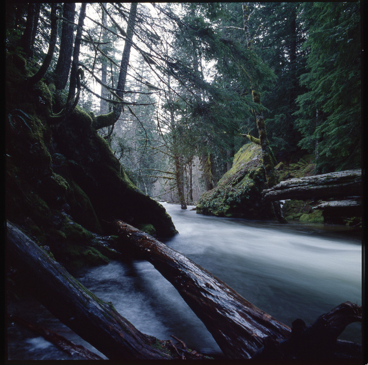 Muddy Fork Sandy River, Oregon