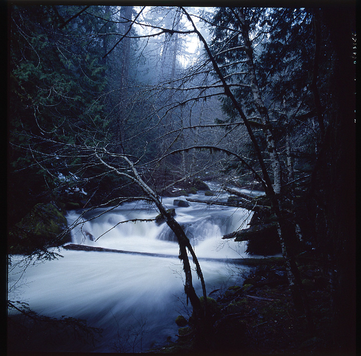 Muddy Fork Sandy River, Oregon