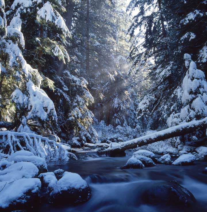 Winter on Salmon River, near Zigzag Oregon
