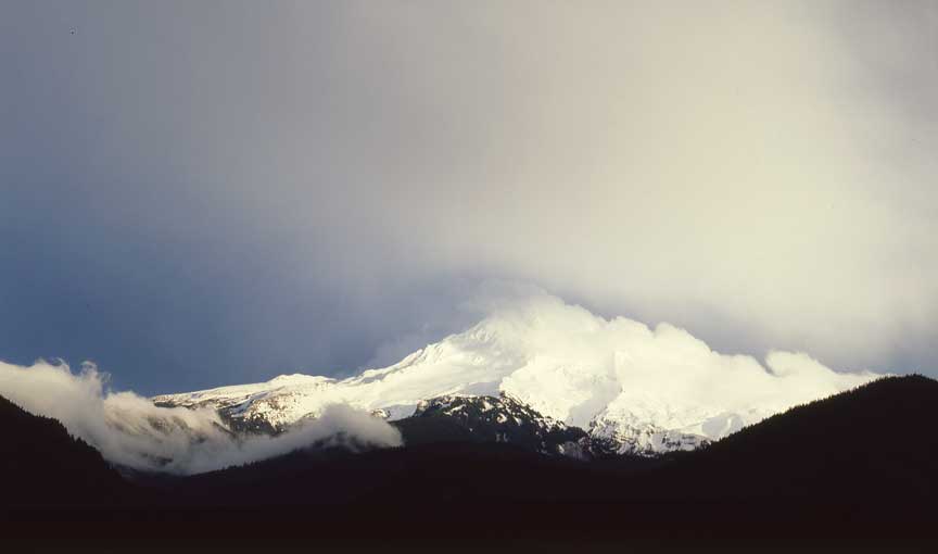 Mt. Hood from Lolo Pass Road, OR