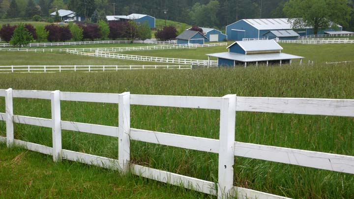 White fence horse farm