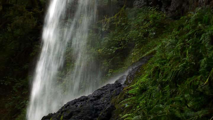 fallspulse