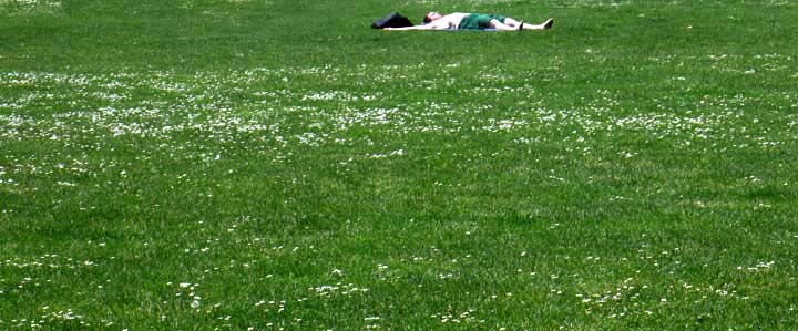 grassbeach