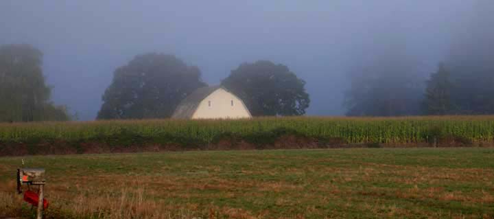 peekingbarn