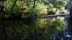 greenrivsc