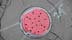 redmanhole