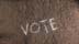 vote