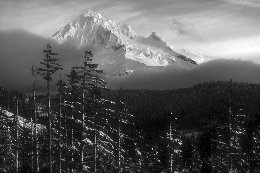 mt hood