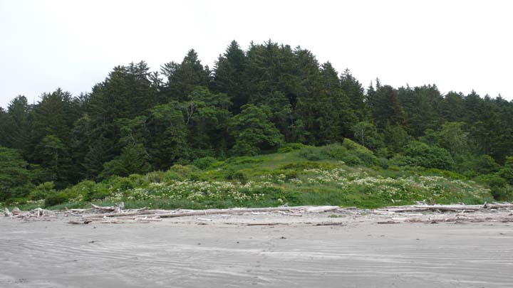 Avala camp site area along the immediate green...all along the coast there were camp sites. Western most tip of lower 48 states. 