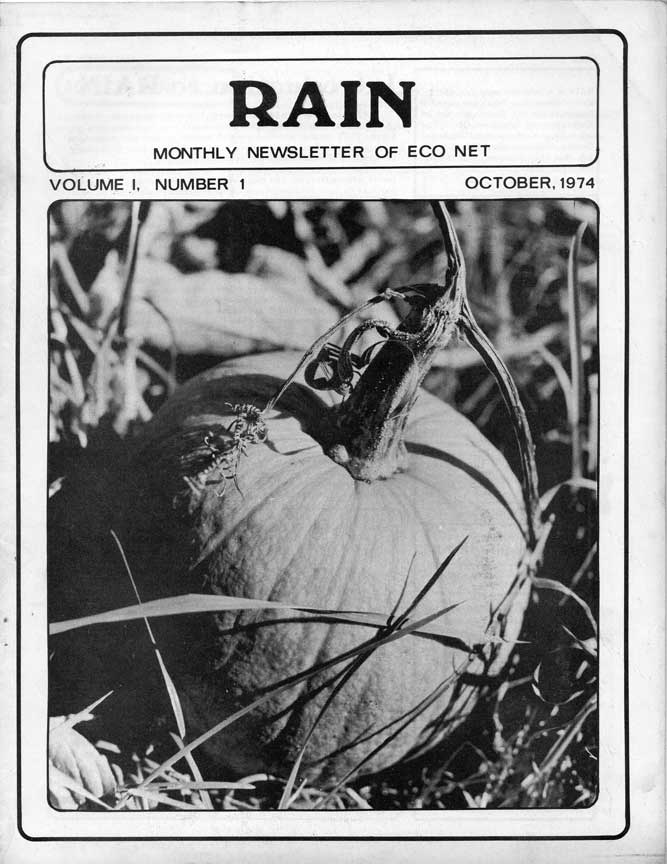  Rain Magazine