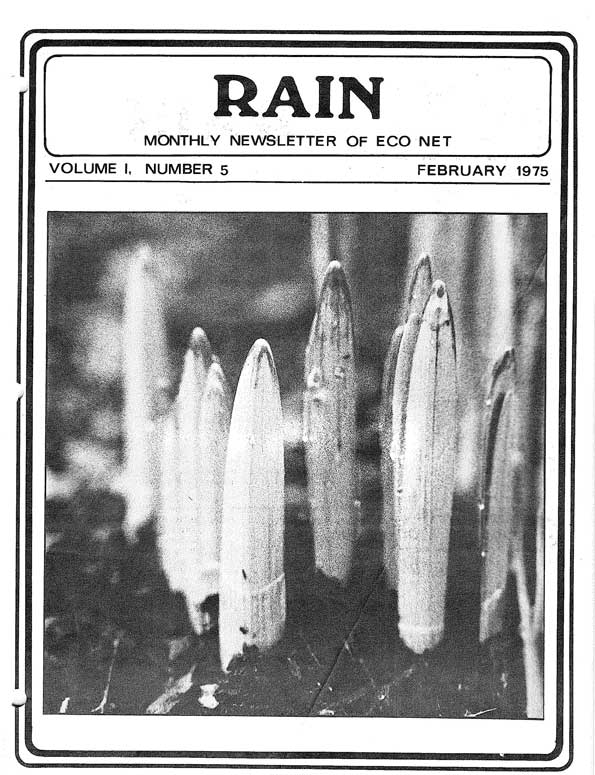  Rain Magazine