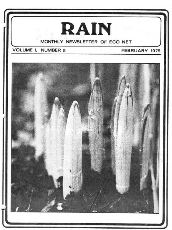 rainv01n05