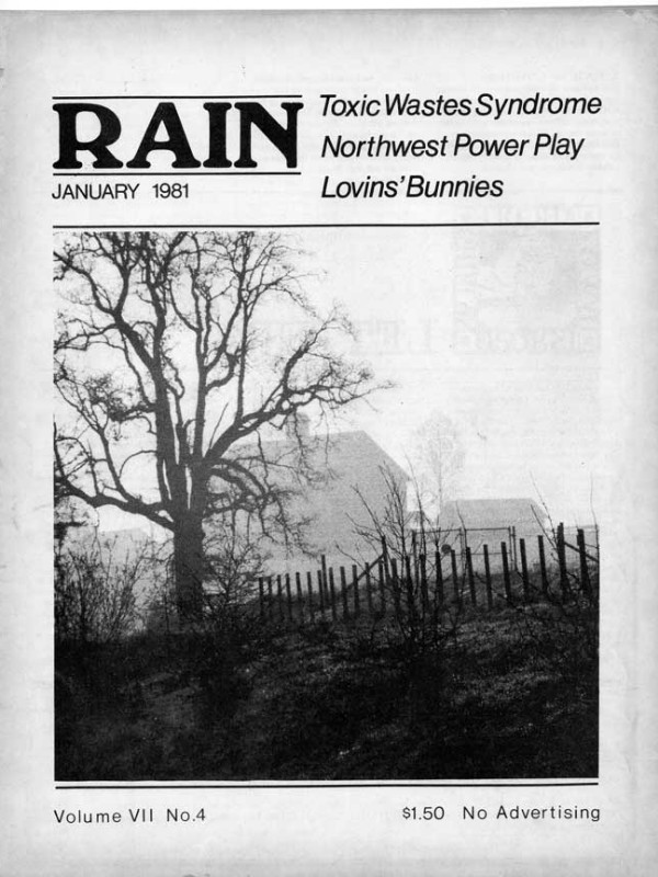 rainv07n04