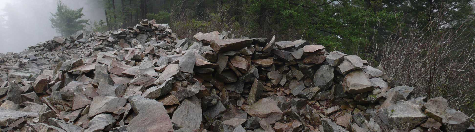 Ancil Nance Photographs