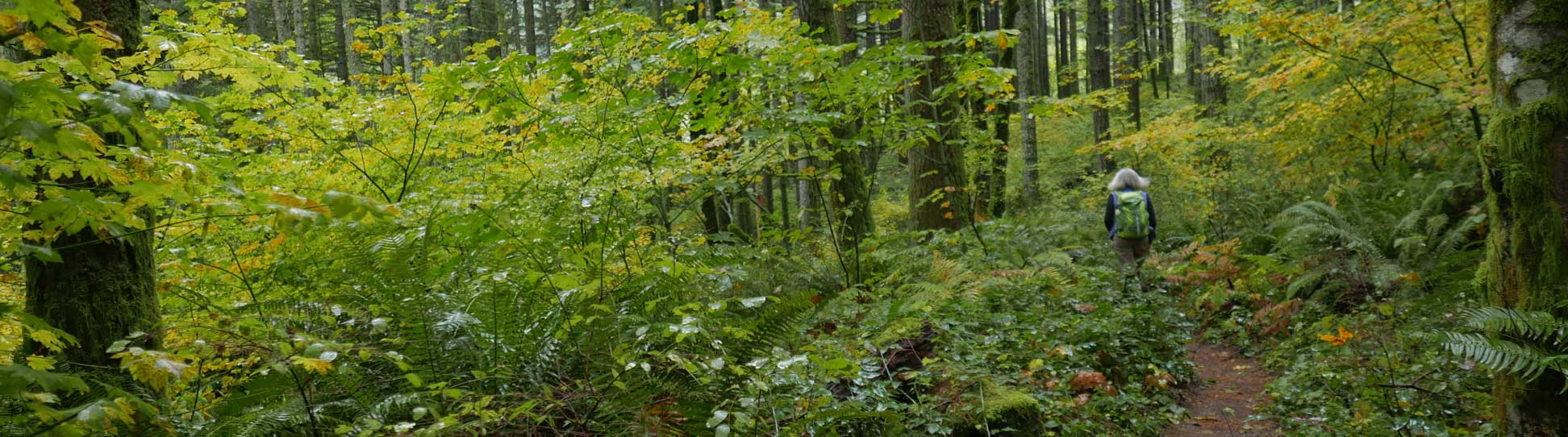 Ancil Nance Photographs