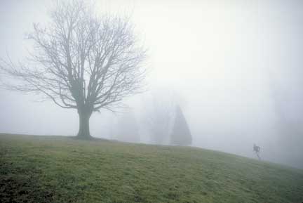 Mt. Tabor