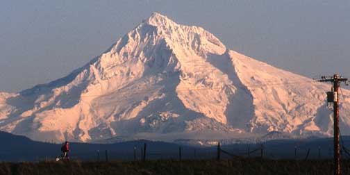 Mt. Hood runner