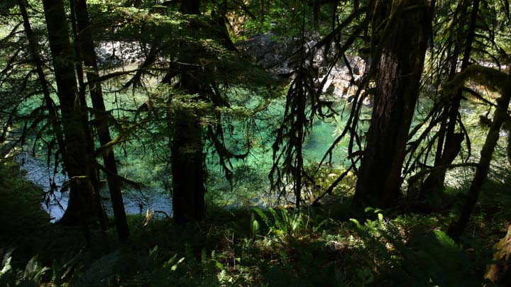 santiam187
