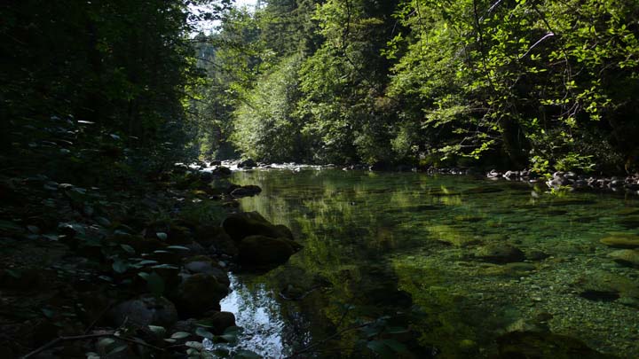 santiam196
