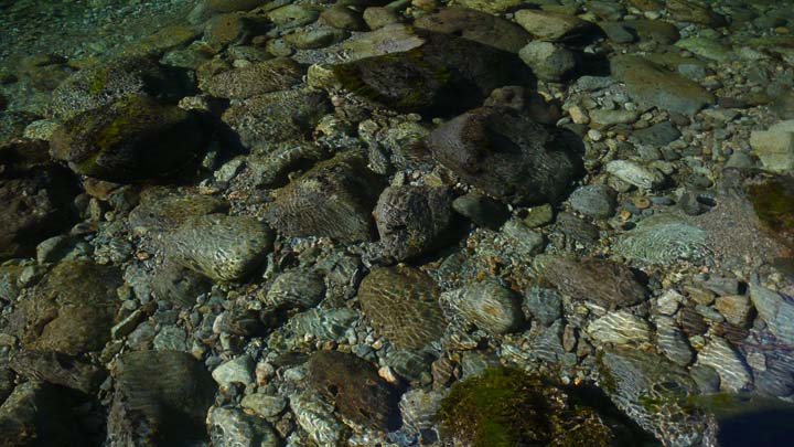 santiam217