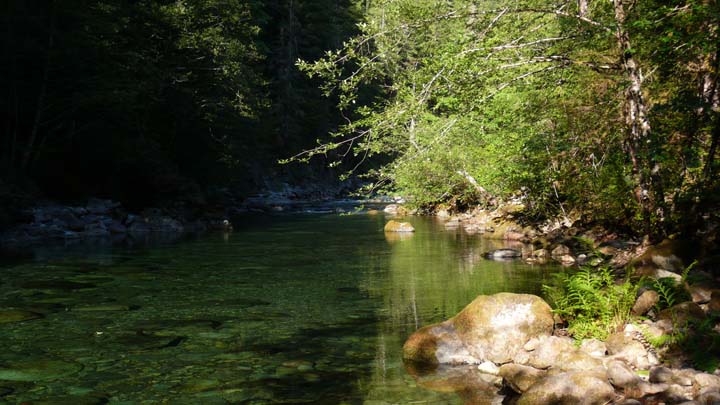 santiam219