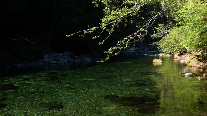 santiam243