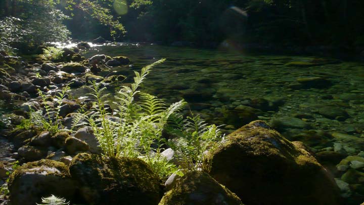 santiam246