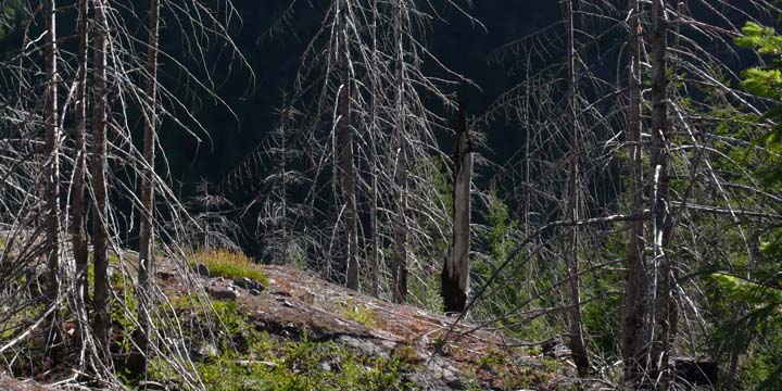 santiam263
