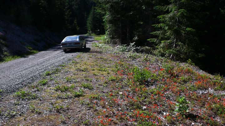 santiam265