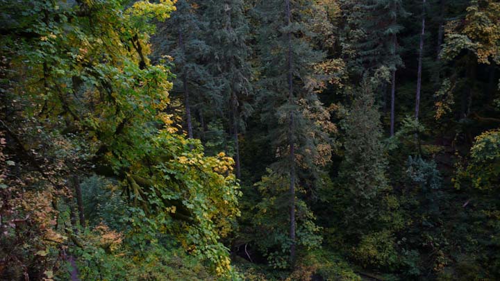 L1080094