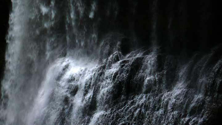 596