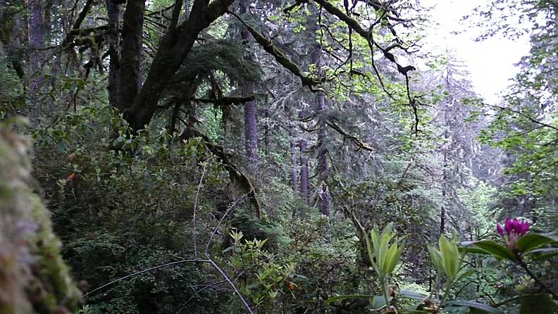 devils staircase ridge