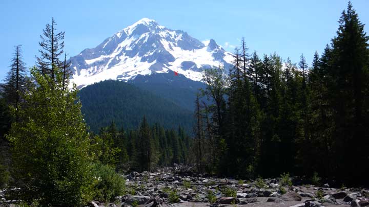 Mt Hood
