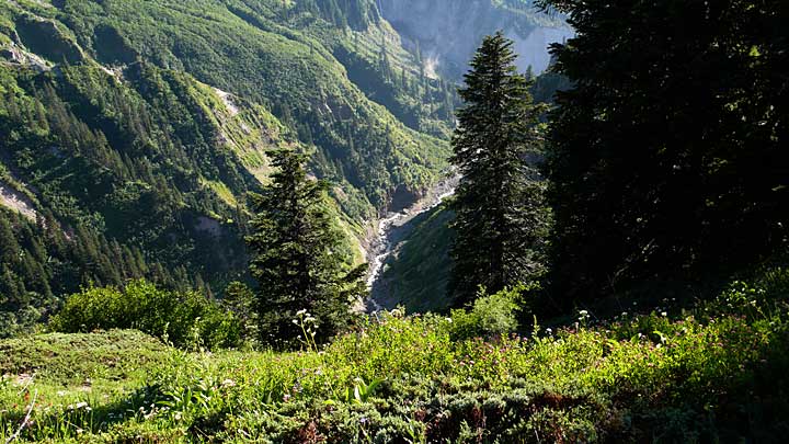 Mt. Hood, Ramona Falls